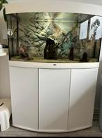 Juwel Aquarium 180 l. en Aquarium meubel wit, Dieren en Toebehoren, Vissen | Aquaria en Toebehoren, Zo goed als nieuw, Ophalen