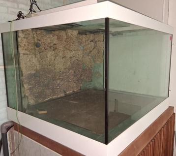 Opruiming aquarium!!! inclusief verlichting!!!! beschikbaar voor biedingen