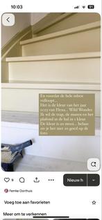 Hornbach PU Trapverf Wild Wonder, Overige kleuren, Nieuw, Ophalen of Verzenden, Verf