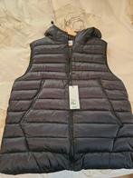 CP Company Bodywarmer Maat L - Nieuw!, Kleding | Heren, Bodywarmers, Ophalen of Verzenden, Nieuw, Maat 52/54 (L), CP Company