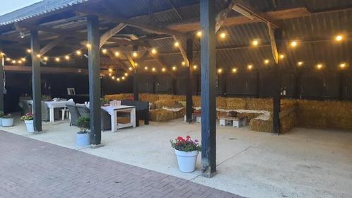 Prikkabel 10-15-25 m Koppelbare incl LED transparant lampen, Tuin en Terras, Buitenverlichting, Nieuw, Hanglamp, Kunststof, Minder dan 50 watt