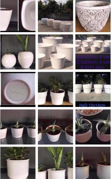 Vintage witte bloempotten bio stekjes kamerplanten beschikbaar voor biedingen