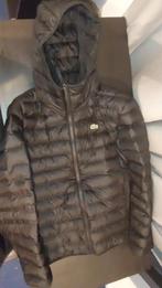 Lacoste winterjas, Kleding | Heren, Jassen | Winter, Maat 48/50 (M), Ophalen of Verzenden, Zo goed als nieuw, Lacoste