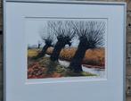 Knotwilgen. Gekleurde ets. Sign. 17/50. 51/41 cm., Antiek en Kunst, Ophalen