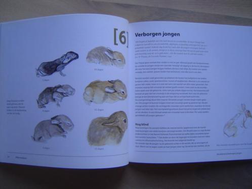 Wilde konijnen  jacht jagen, Boeken, Natuur, Zo goed als nieuw, Verzenden