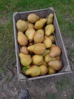 Stoofperen, Ophalen
