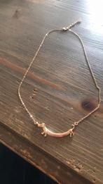 Ketting teckel goudkleurig, Ophalen of Verzenden, Zo goed als nieuw