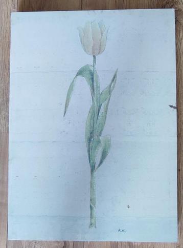 Schilderij Tulp beschikbaar voor biedingen
