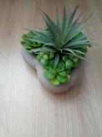 Kunst vetplantjes / cactus / ook los te koop, Ophalen of Verzenden, Zo goed als nieuw, Binnen