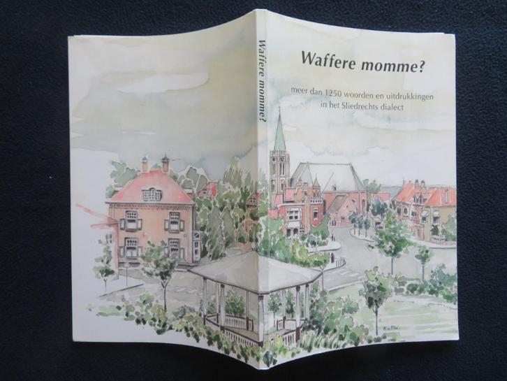 Sliedrechts dialect  -  Waffere momme ?, Boeken, Geschiedenis | Stad en Regio, Zo goed als nieuw, 20e eeuw of later, Ophalen of Verzenden