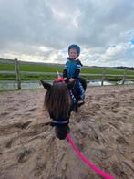 Paardrijles voor kinderen op onze pony's, Ophalen