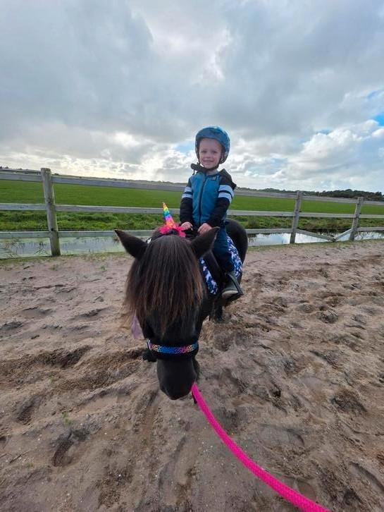 Paardrijles voor kinderen op onze pony's, Dieren en Toebehoren, Paarden en Pony's | Verzorgingsproducten, Ophalen