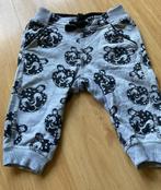 H&M / HM broekjes grijs beer maat 68, Kinderen en Baby's, Babykleding | Maat 68, Broekje, Jongetje of Meisje, H&M, Ophalen of Verzenden