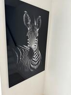Plezier glas Deco art zebra, Huis en Inrichting, Woonaccessoires | Schilderijen, Tekeningen en Foto's, Ophalen of Verzenden, Zo goed als nieuw