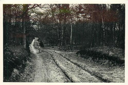 (387-214-005) Nunspeet Poolsche weg, Verzamelen, Ansichtkaarten | Nederland, Gelderland, Verzenden