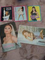 Ariana Grande poster's, Gebruikt, Poster, Artwork of Schilderij, Ophalen