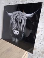 Schotse hooglander schilderij, Minder dan 50 cm, Ophalen of Verzenden, Zo goed als nieuw, Schilderij