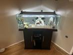 Aquarium 160 liter met onderkast, Dieren en Toebehoren, Ophalen of Verzenden, Zo goed als nieuw, Leeg aquarium