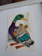 COR VAN VELSEN.   EEND MET JONGEN, Verzamelen, Ansichtkaarten | Themakaarten, Ophalen of Verzenden