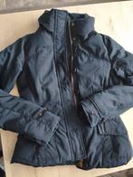 Tommy Hilfiger Jas, Kleding | Dames, Maat 38/40 (M), Blauw, Ophalen of Verzenden, Zo goed als nieuw