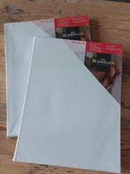Schilderdoeken canvas van Bleiswijck, Hobby en Vrije tijd, Schilderen, Ophalen of Verzenden, Nieuw, Doek
