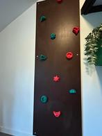 Klimuur met klimstenen, Sport en Fitness, Ophalen of Verzenden, Zo goed als nieuw, Klimsport-accessoire