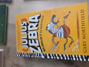 Verschillende soorten kinderboeken 13+ beschikbaar voor biedingen