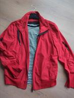 Dames Jack Marc Cain, Kleding | Dames, Jassen | Winter, Ophalen of Verzenden, Zo goed als nieuw, Maat 38/40 (M)