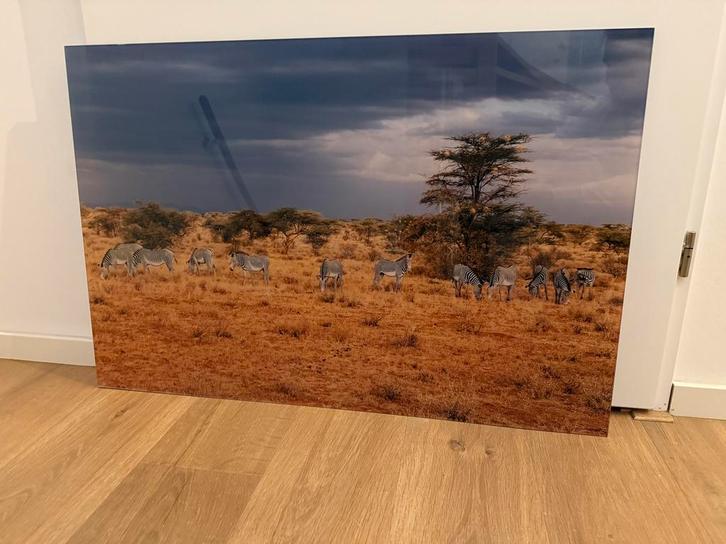 Zebra Foto op Plexiglas - Hoge Kwaliteit, Huis en Inrichting, Woonaccessoires | Schilderijen, Tekeningen en Foto's, Zo goed als nieuw