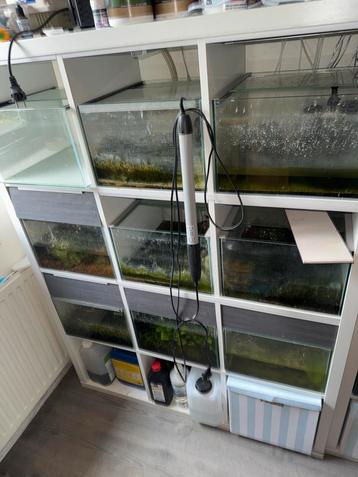 Kallax aquatruims met kast en verlichting beschikbaar voor biedingen