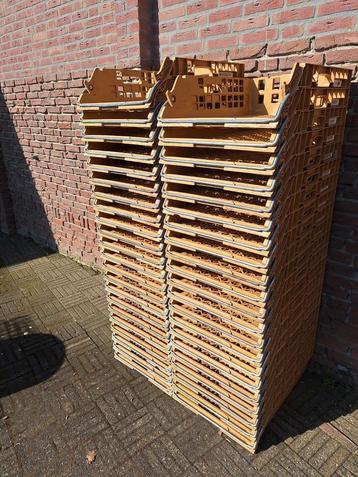 Broodkratten brood krat Broban kratten 43 stuks beschikbaar voor biedingen