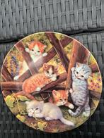 Jurgen Scholz katzenportrat teller 8743 d / 8468 b, Ophalen of Verzenden