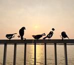 Metalen Tuinsteker Vogels - Roestig, Tuin en Terras, Ophalen of Verzenden, Gebruikt, Metaal, Dierenbeeld