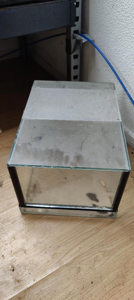 5xTerrarium B25cm H20CM D35CM, Dieren en Toebehoren, Reptielen en Amfibieën | Toebehoren, Zo goed als nieuw, Terrarium of Paludarium