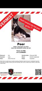 € 1.000,00 BELONING VOOR WIE PEER WEER BIJ ONS TERUG BRENGT