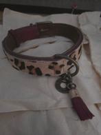 Halsband DWAM maat XL, Ophalen of Verzenden, Zo goed als nieuw