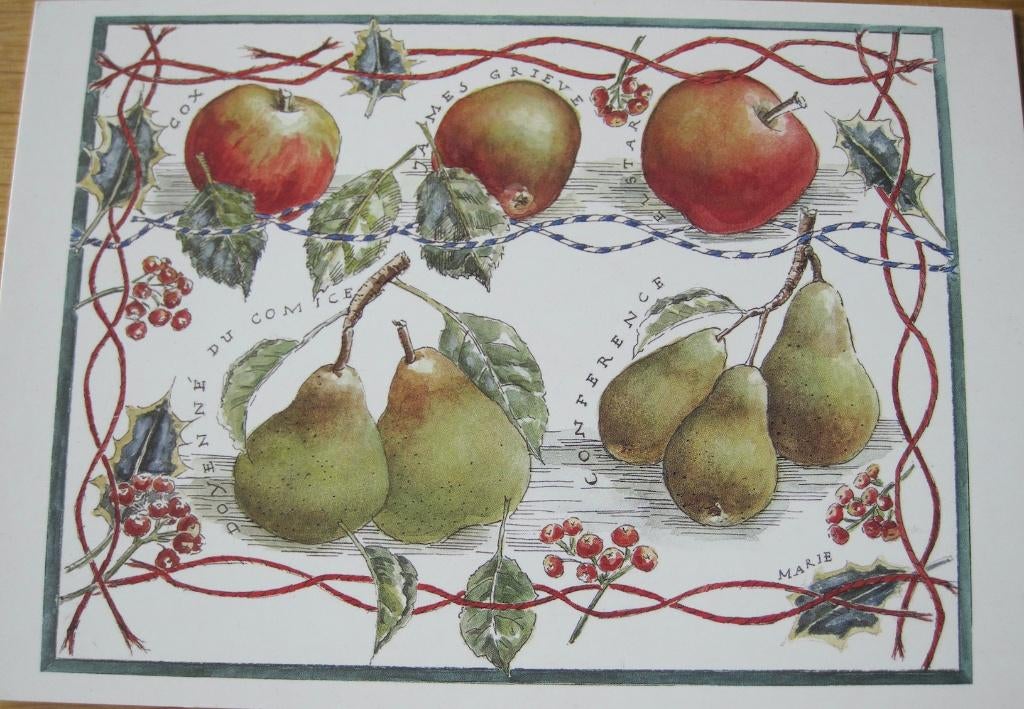 Voor het kind - appels en peren - code 9020, Verzamelen, Verzenden, 1980 tot heden, Gelopen, Overige thema's