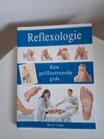 Reflexologie boek, Ophalen of Verzenden, Zo goed als nieuw, Overige onderwerpen