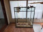 Terrarium compleet, Dieren en Toebehoren, Ophalen, Zo goed als nieuw