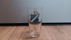 Grolsch glas AGOVV, Verzamelen, Ophalen of Verzenden, Zo goed als nieuw, Glas of Glazen, Grolsch