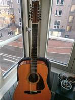 Fender F310-12 12-snarige Western Gitaar, Muziek en Instrumenten, Snaarinstrumenten | Gitaren | Akoestisch, Ophalen of Verzenden