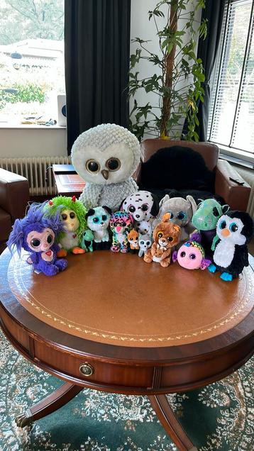 Beanie boo knuffels beschikbaar voor biedingen