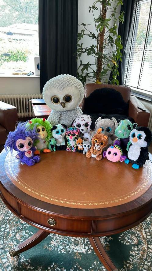 Beanie boo knuffels, Kinderen en Baby's, Speelgoed | Knuffels en Pluche, Gebruikt, Overige typen, Ophalen of Verzenden