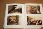Het varken als gezelschapsdier - Violette Sanders, Boeken, Dieren en Huisdieren, Ophalen of Verzenden, Gelezen, Katten