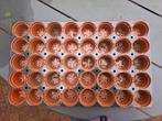 Zaai/stektray 40 vaks, Tuin en Terras, Kweekspullen, Ophalen, Zo goed als nieuw, Kweekbak
