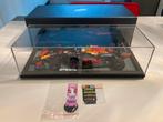 Max Verstappen rb16b winner abu dhabi gp 2021 spark 1/18, Ophalen of Verzenden, Nieuw, Formule 1