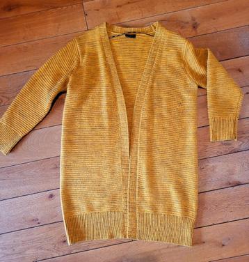 Vest van Fee/Quent, XL beschikbaar voor biedingen