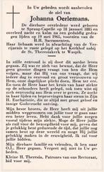 Oerlemans Johanna 1885 Sprang-Capelle 1965 begr Waspik, Ophalen of Verzenden, Bidprentje
