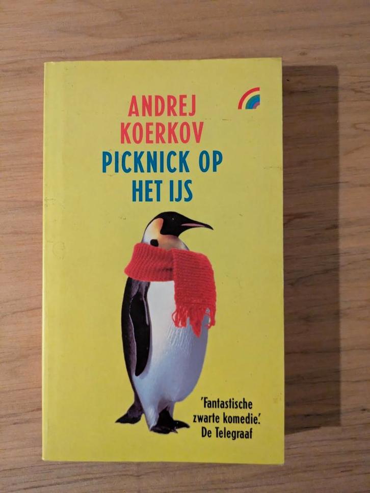 A. Koerkov - Picknick op het ijs, Boeken, Literatuur, Zo goed als nieuw, Ophalen of Verzenden