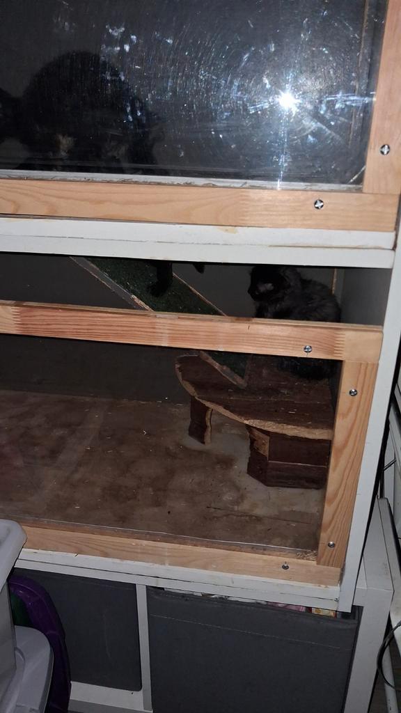 Cavia flat / kooi, Dieren en Toebehoren, Knaagdieren en Konijnen | Hokken en Kooien, Zo goed als nieuw, Hok, Minder dan 60 cm